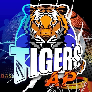 TIGERS 08 A